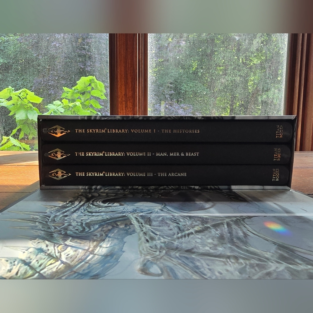 Skyrim Special Edition Book Box Set - Picture 8 of 9